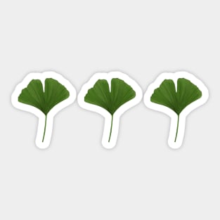 Green Ginkgo Leaves Sticker